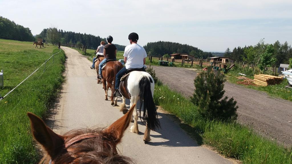 Q Ranch Hotel Bezdekov  ภายนอก รูปภาพ