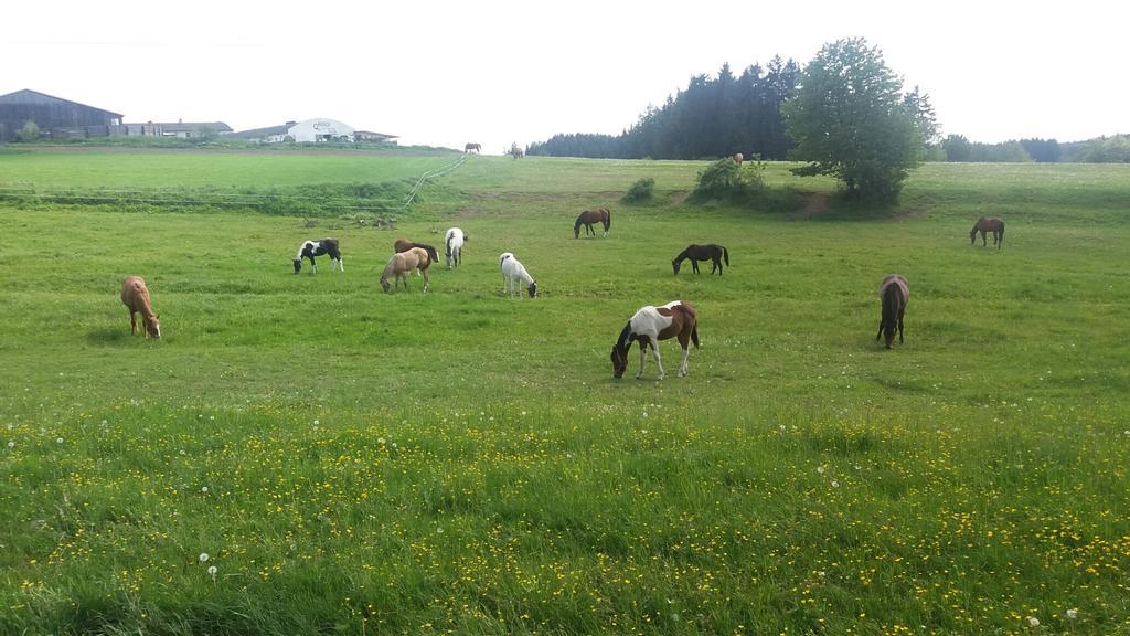 Q Ranch Hotel Bezdekov  ภายนอก รูปภาพ