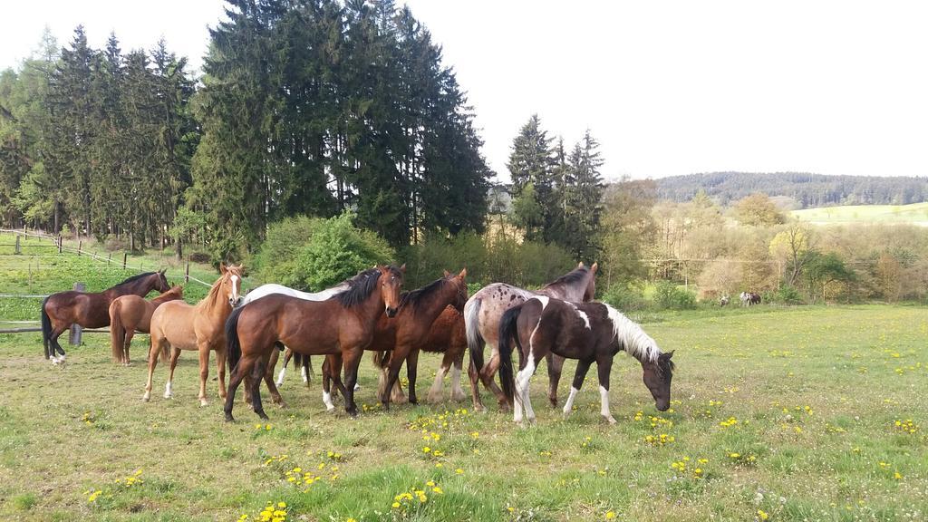 Q Ranch Hotel Bezdekov  ภายนอก รูปภาพ